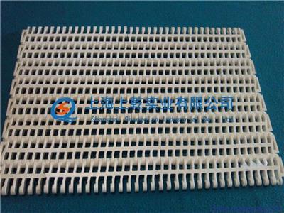 塑料網(wǎng)帶廠家圖片,塑料網(wǎng)帶廠家圖片大全,上海上乾實(shí)業(yè)-